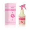Ajwaa' Ward Fragrant Freshener